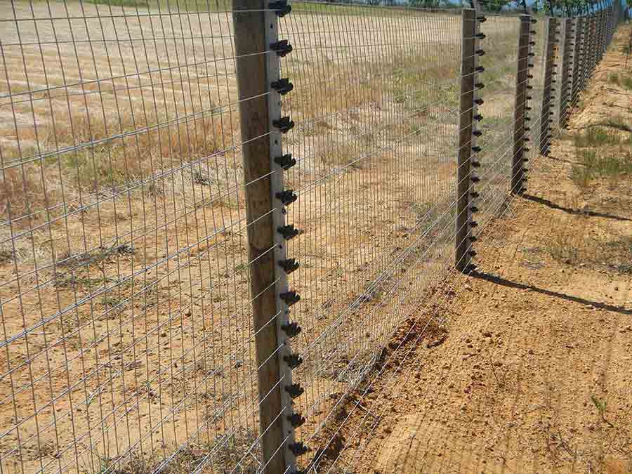 Free standing electric fence on timber fence posts